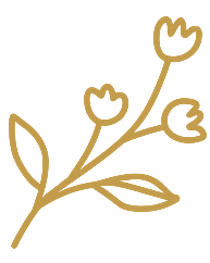 Flower Arrangements